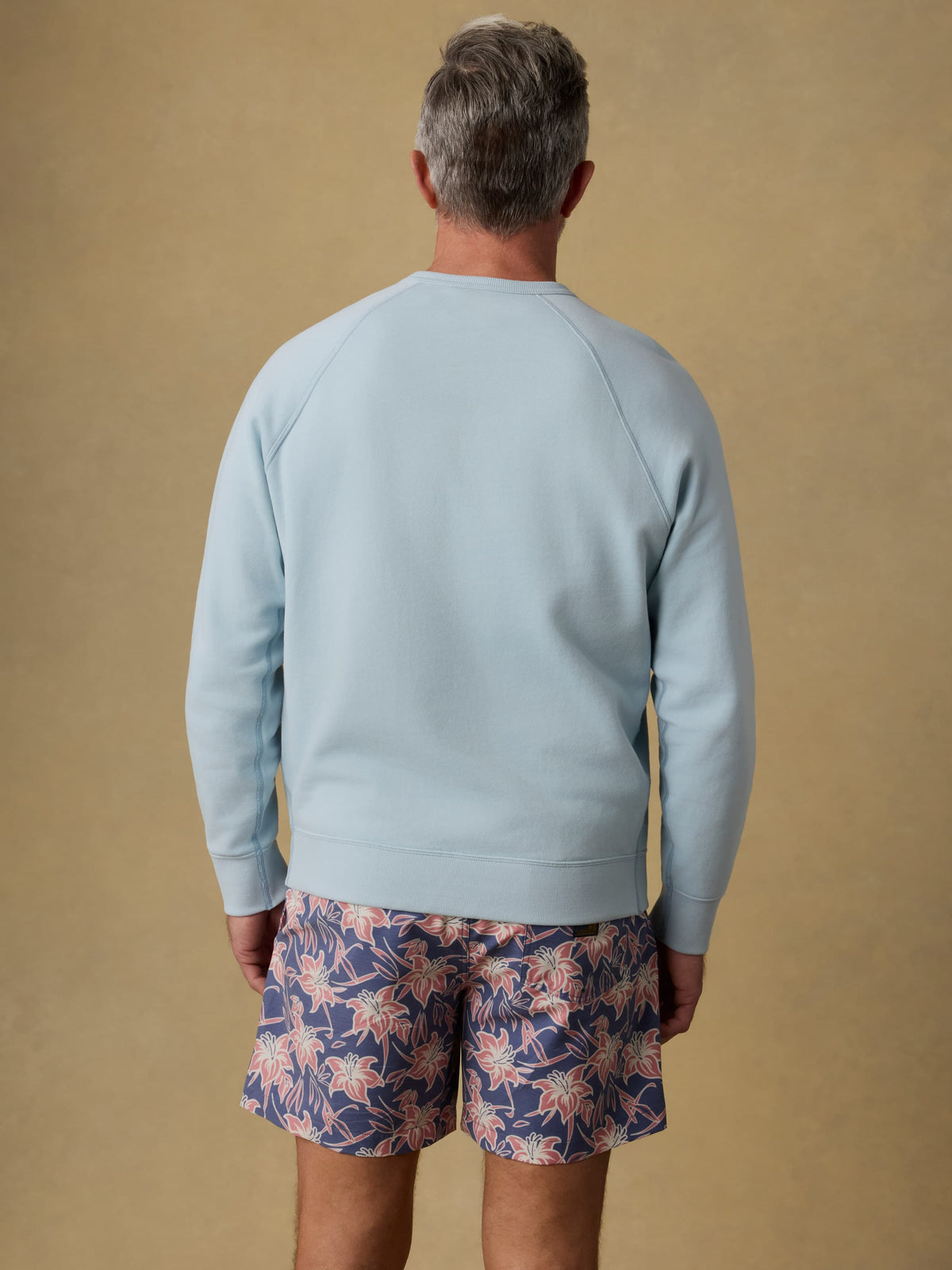 SP26-Faherty-Mens-MQF2412-EKE-HighStandardFleeceCrewneck-BlueBrook_OM_BACK_CROP_1_Web.jpg